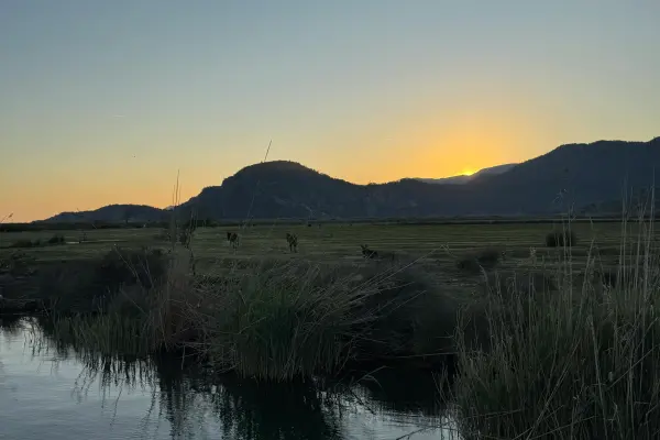 Dalyan Kaunos Turu | Fethiye Günlük Dalyan Tekne Turu